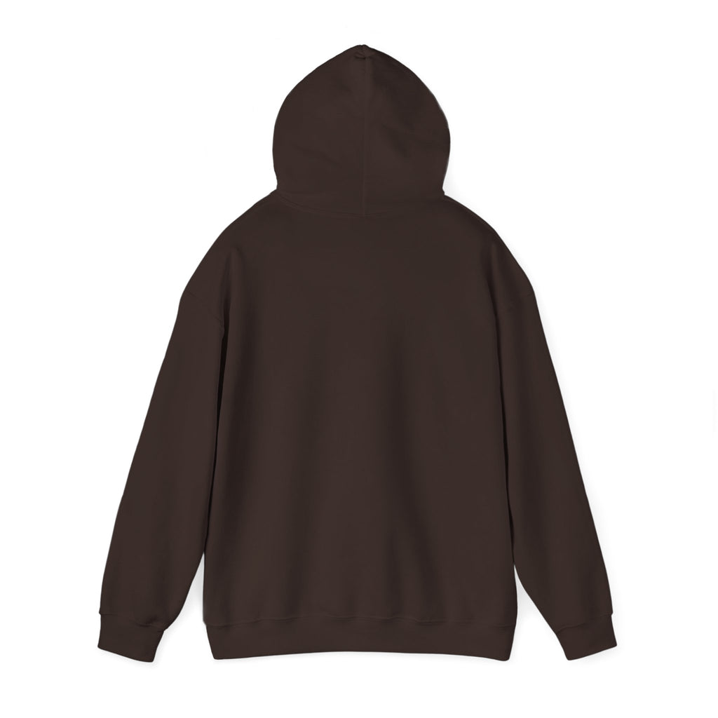 This Is Some Boo Sheet | Classic Front Pullover Hoodie